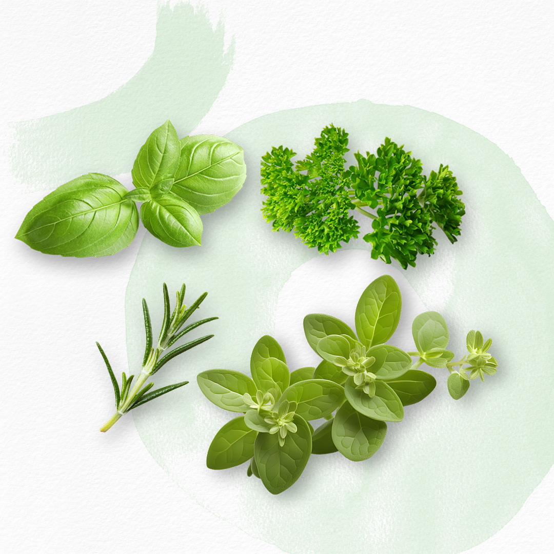 Herbs